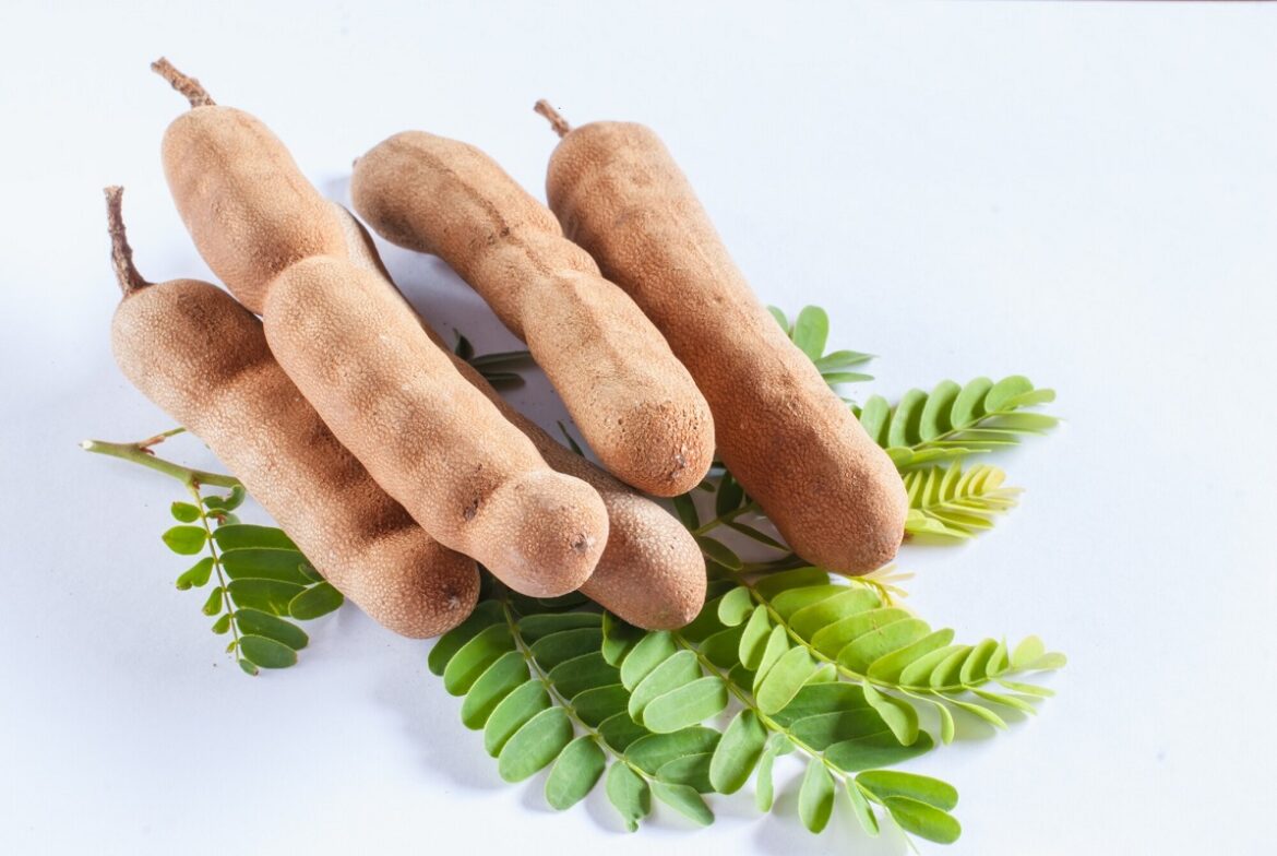 tamarind-fruit-facts-what-can-tamarind-do-for-your-health-decobizz