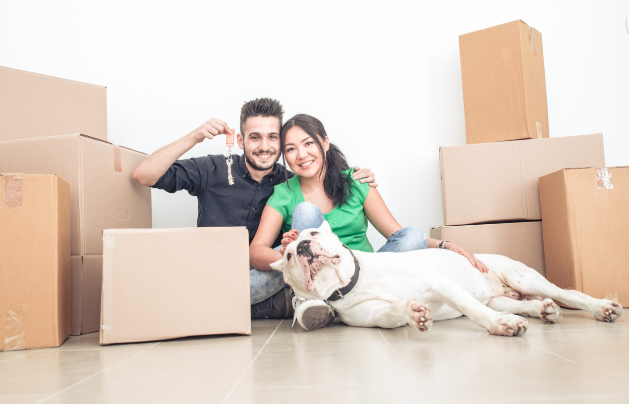 10 Things to Know Before Moving With a Dog - DecoBizz Lifestyle Blog